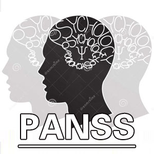 阳性与阴性量表[PANSS]