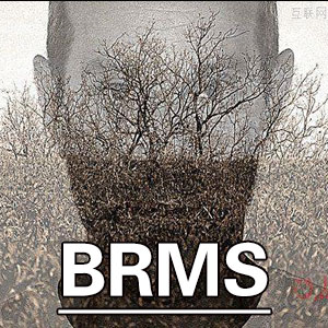 躁狂量表[BRMS]