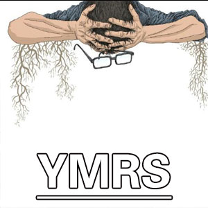 杨氏躁狂评定量表[YMRS]