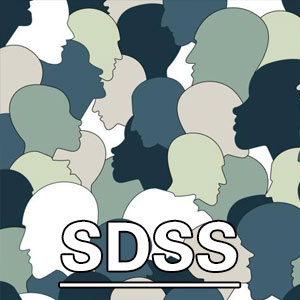 社会功能缺陷量表[SDSS]