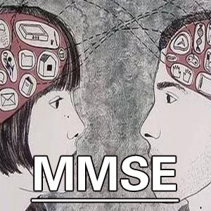 简易智力状态检查[MMSE]