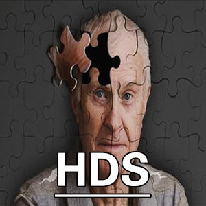 长谷川智能量表[HDS]