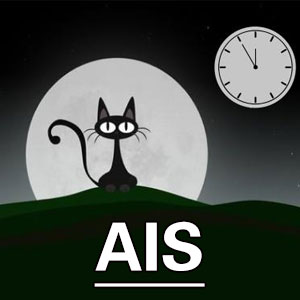阿森斯失眠量表[AIS]