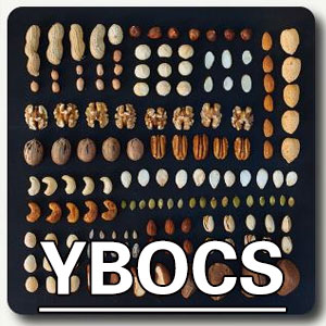耶鲁—布朗强迫量表[YBOCS]
