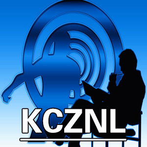 抗挫折能力自测[KZCNL]