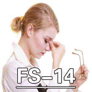 疲劳测量-14[FS-14]