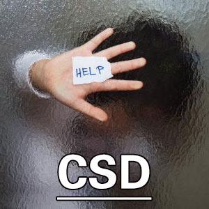 儿童社会期望量表[CSD]