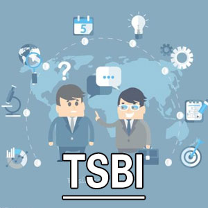 德克萨斯社会行为问卷[TSBI]