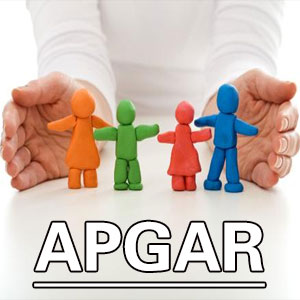 家庭关怀度指数[APGAR]