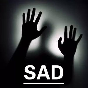 社会回避及苦恼量表[SAD]
