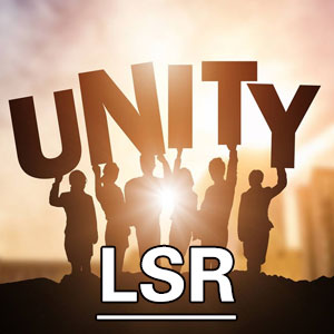 生活满意度量表[LSR]
