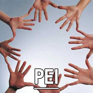 个人评价问卷[PEI]