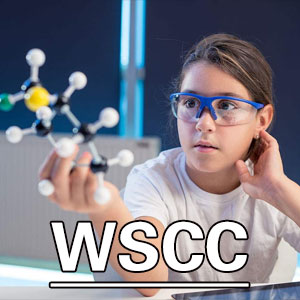 威廉斯创造能力测验[WSCC]