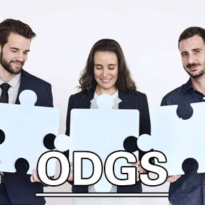 职业延迟满足量表[ ODGS]