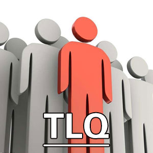 变革型领导问卷[TLQ]