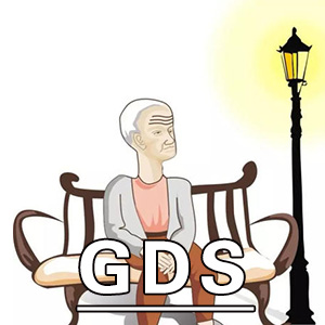 老年抑郁量表[GDS]
