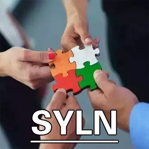 适应能力测验[SYNL]