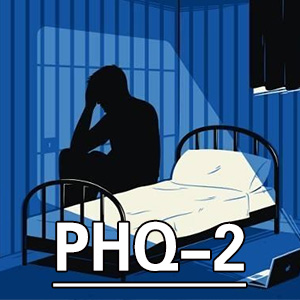 PHQ-2[PHQ-2]