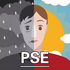 精神现状检查[PSE]